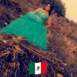 Meet your Posher, Priscilla